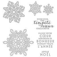 Tempête De Souhaits Photopolymer Stamp Set (French)