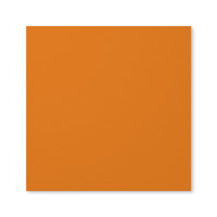 Pumpkin Pie 12 x 12 (30.5 x 30.5 cm) Cardstock