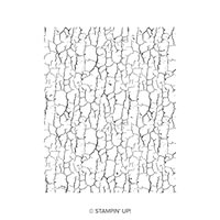 Crackle Paint Cling Stamp Set