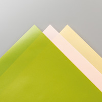 PERENNIAL ESSENCE 12 X 12 (30.5 X 30.5 CM) VELLUM CARDSTOCK