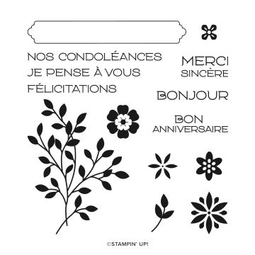 SET DE TAMPONS AMOVIBLES SOUHAITS SOUS LA VIGNE (FRANÇAIS)