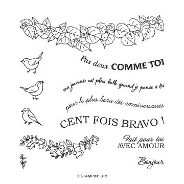 SET DE TAMPONS EN RÉSINE BELLES COURBES (FRANÇAIS)