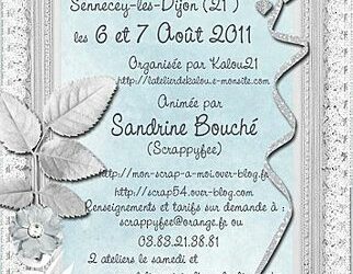 Crop à SENNECEY LES DIJON les 6 et 7 août 2011