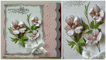 null PROJET WAOUH version SANS paillettes CONVENTION NOVEMBRE 2012 BLOG