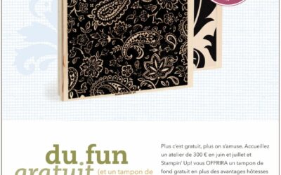 Promotion hôtesse du 1er juin au 31 juillet 2009