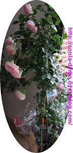 cadeau fete des meres 2010