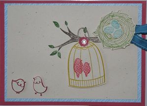 cage oiseau donna e taplin