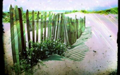 Qu&rsquo;est ce que ça vous inspire?