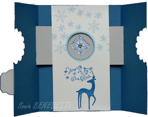 caret surprise ouverte