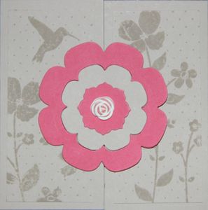 carte anniversaire florence aublin