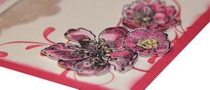 Stampin’Techniques : Aquarelle