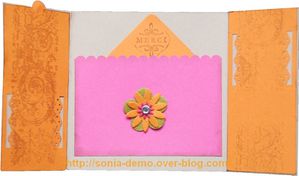 carte benedicte nouvelle demo su interieur