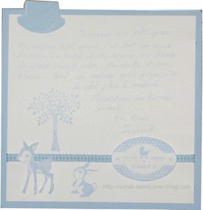 carte felicitation naissance int