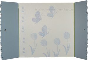 carte felicitation naissance ouverte