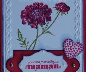 Une idée pour la fête des mères….