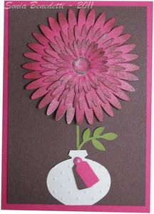 carte fleur daisy 1