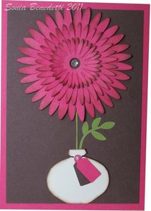 carte fleur daisy 2