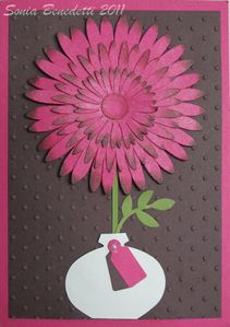 carte fleur daisy poix