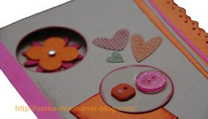 carte louise future demo su detail