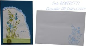 carte make and take convention su 2010