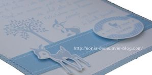 carte naissance moragan detail