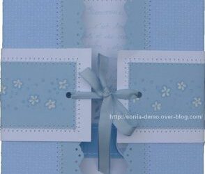 Carte naissance…. encore!