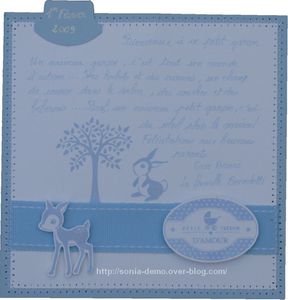 carte naissance morgan intérieure