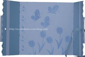 carte naissance mrogan ouverte