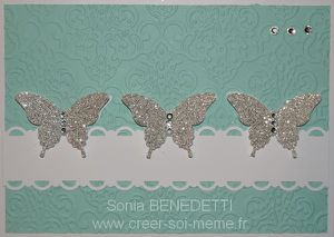 Une envie de papillons….