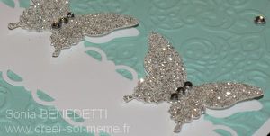 carte-papillons-brillants-detail.jpg