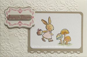 Fin de notre gamme de crayons à aquarelle et Watercolor Wonder