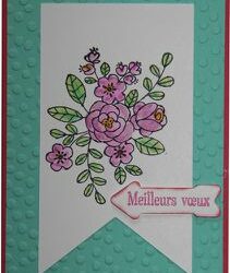 Une nouvelle série de carte de voeux