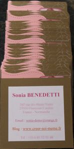 ccv verso convention lonrdes 2010