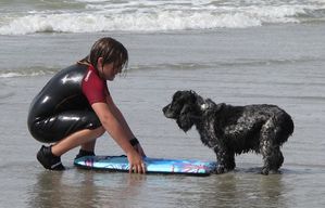 chien qui fait de la planche