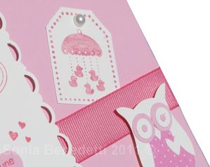 faire part naissance lola chouette