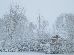 flancourt le 19-12-10