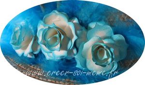 Des fleurs et un lever de soleil en Normandie