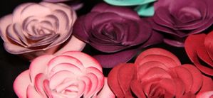 flowers rose stampin up