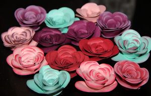 En attendant le printemps….