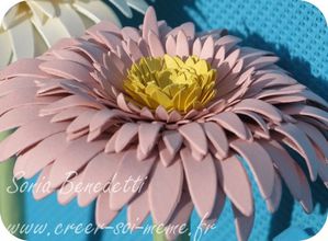 gerberat rose coeur jaune