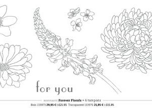 Feutres à base d'alcool ou Mariabilités