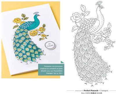 Feutres à base d'alcool ou Mariabilités