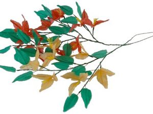 De jolies fleurs pour le corso fleuri du Havre