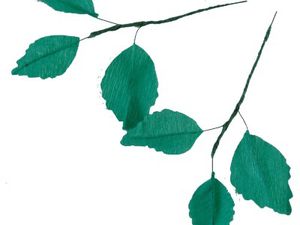 De jolies fleurs pour le corso fleuri du Havre