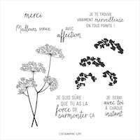 153271 Dentelle de la reine Anne tampon stampin up branche fleur merci