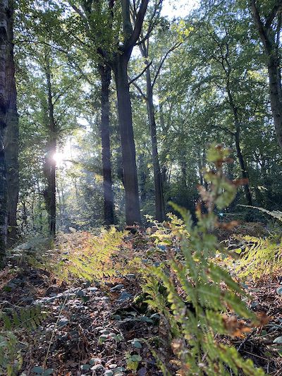Domaine de la ferme de fourges maisons de vacances en normandie dans l'Eure