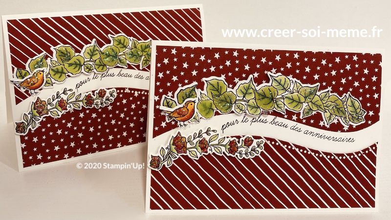 158397 lot belles courbes care-tes anniversaire fait main par sonia stampin up carterie 