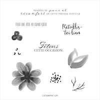 153292 Set de tampons Bouquet magnifique stampin up démonstratrice en france normandie sophie yvelines