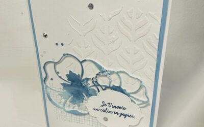 Saurez vous reconnaitre….