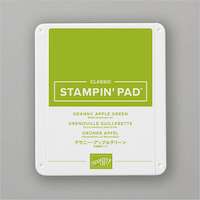 147095 Tampon encreur Classic Grenouille guillerette stampin up carterie diy loisirs créatifs accru carterie france nord rouen fanny